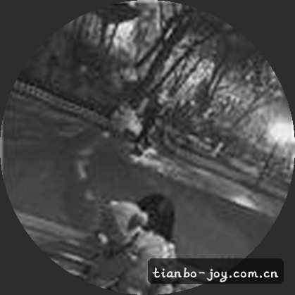 陈静